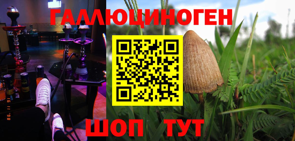 где продают   Вход с VPN  Рыбинск  Галлюциногенные грибы Cubensis 